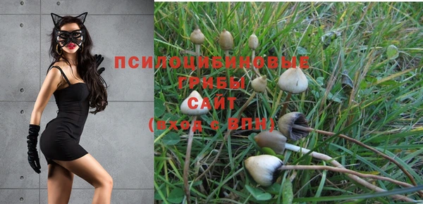 сатива Бугульма