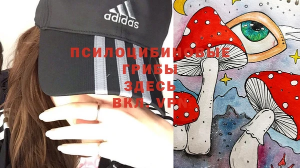 прущая мука Бронницы