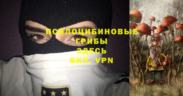 герыч Бородино