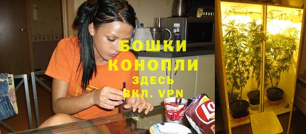 герыч Бородино