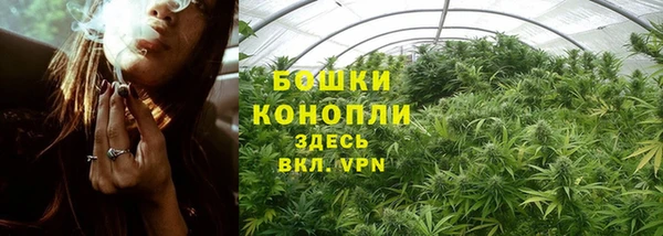 сатива Бугульма