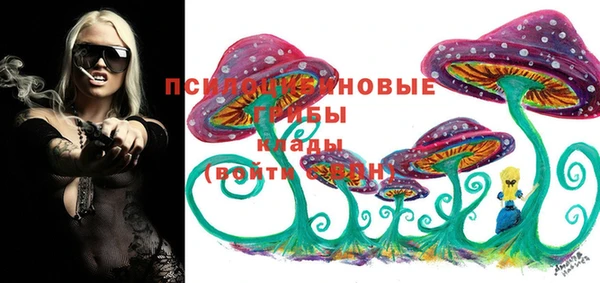 герыч Бородино