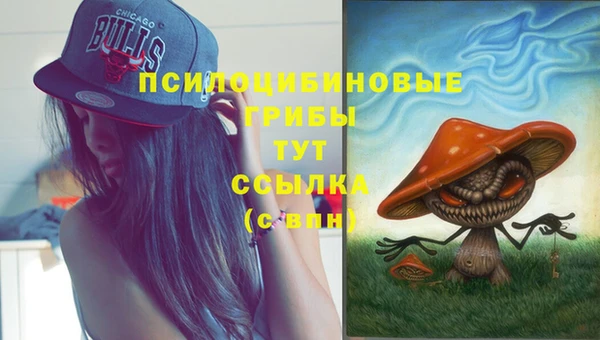 герыч Бородино