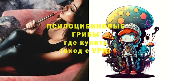сатива Бугульма