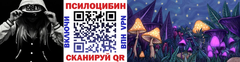 как найти закладки  Туймазы  Галлюциногенные грибы мухоморы 